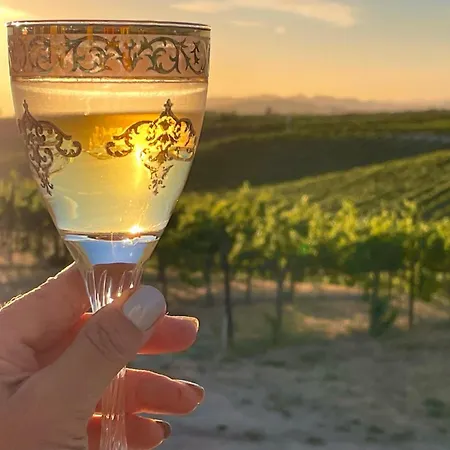 Domaine Chardonnay-3